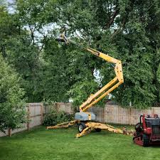 Mulching Services in Ellsworth, WI